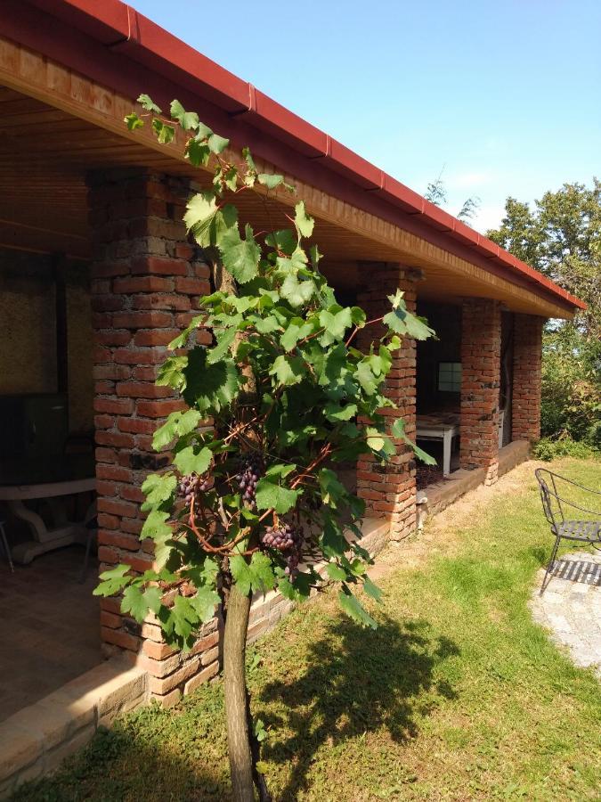 Omsi House Hotel Телави Екстериор снимка